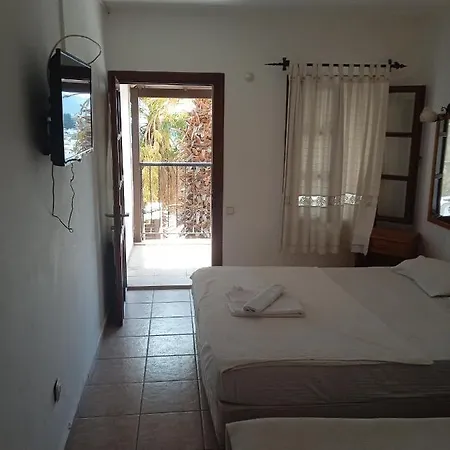 Robin Hotel *