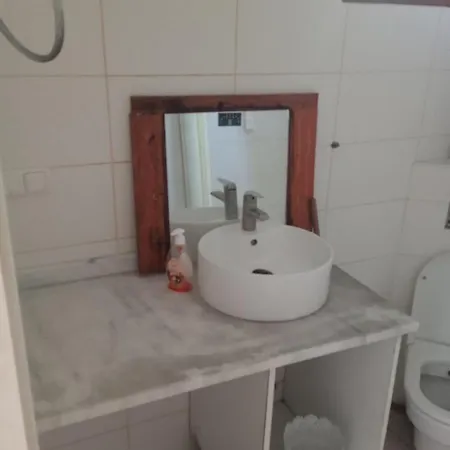 Robin Hotel *